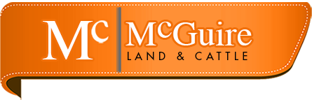 McGuire Land and Cattle